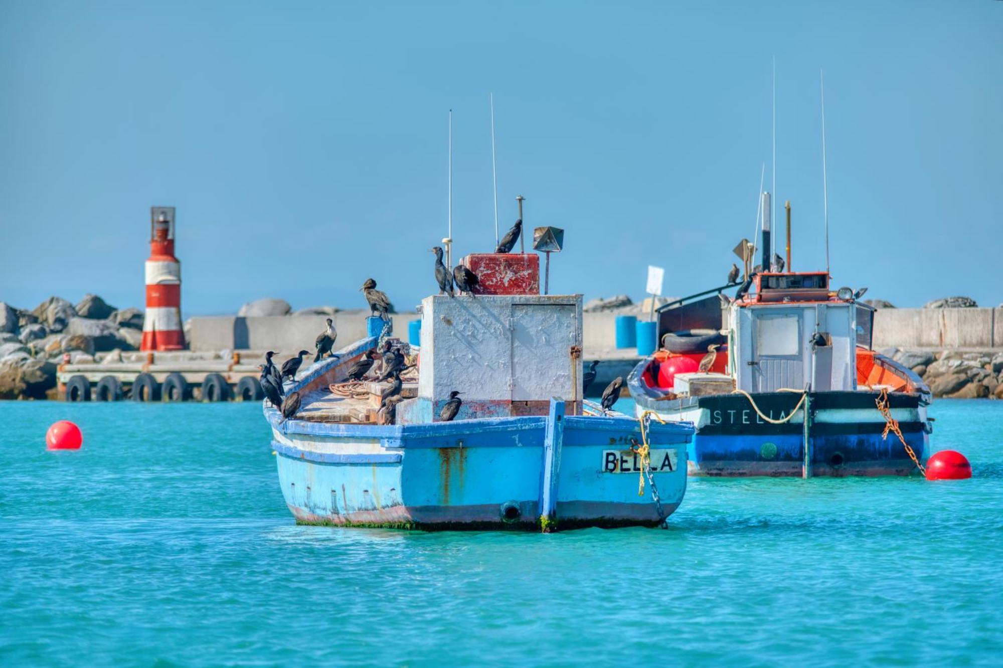 Flip Flop Struisbaai